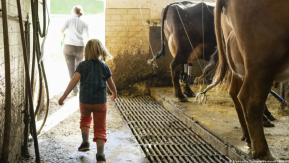 ¿Por qué los niños que crecen en el campo tienen menos alergias?