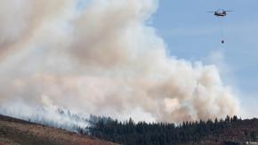 Más de 40.000 evacuados por incendio forestal en EE.UU.