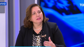 Senadora Vodanovic vuelve a criticar la reforma de seguridad: “El gobierno tiene que retirarla”