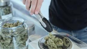 La zona gris de los dispensarios de cannabis en Chile: cómo operan y las millonarias cifras que manejan