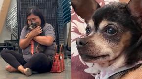Mujer se reencontró con su perrita desaparecida hace 12 años: "Simplemente rompí a llorar"