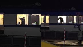 Aprehendieron a "El Diablo": Sujeto apuñaló a pasajero en tren de Valparaíso, tenía tres órdenes de captura y 72 detenciones