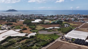 Misteriosas muertes escandalizan a paraíso de Corea del Sur 