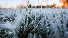 Con mínimas de hasta -12°C: Emiten alerta meteorológica por heladas en dos regiones del país