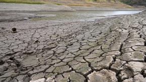 El Niño podría dejar en inseguridad alimentaria a millones de personas en Latinoamérica, advierte la ONU