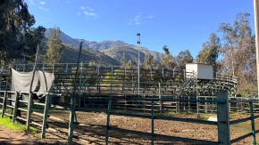 Municipalidad de Peñalolén clausura medialuna ilegal: "Podemos decir que se acabó el rodeo"