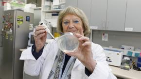 Gloria Montenegro se convierte en la primera mujer en recibir el Premio Nacional de Ciencias Aplicadas y Tecnológicas de Chile