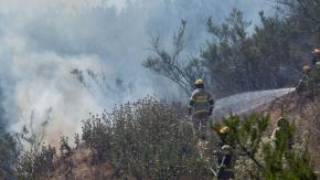 Proyectan verano complejo por riesgo de incendios forestales: Estas son las comunas prioritarias