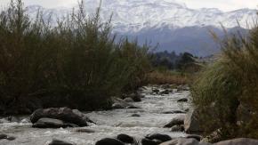 Encuentran muerta a hija de concejala tras caer a humedal en Valdivia