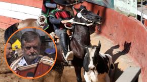 Ministro de las Culturas defiende el rodeo en la Semana de la Chilenidad: “Tener opiniones políticas no da carta blanca para condenar nuestras tradiciones”