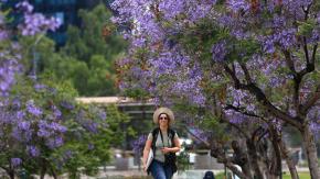 Adiós al invierno: Este es el día y la hora en que la primavera oficialmente llega a Chile