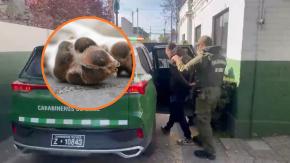 Detienen a sujeto que faenó y asó a un perro en la vía pública en La Pintana