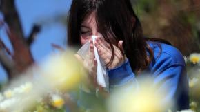 ¿Estás con alergia? Así puedes revisar los niveles de polen en el aire
