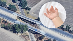 Encuentran a un recién nacido viviendo bajo una autopista en California: dormía en una carpa entre basura y pipas de metanfetamina