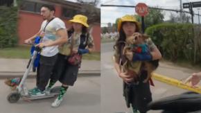 Denuncian maltrato animal en La Florida: ¿Qué dice la normativa sobre el traslado de mascotas en scooters?
