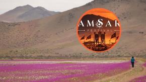 “Festival Oficial del Desierto Florido”: fiesta electrónica en Atacama genera cuestionamientos y aún no cuenta con autorización
