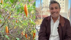En qué consiste el polémico tratamiento "alucinógeno" con ibogaína que probará Fernando Solabarrieta en México  