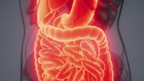 Azúcar y antibióticos: así afectan al microbioma intestinal