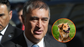 Alcalde Desbordes responde a críticas de fundación por adopción de Morocho: "Tienen derecho a opinar, pero no son los que resuelven"