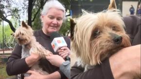 La trágica historia de familia que perdió a su perrito en medio del aluvión: vecina lo encontró dentro de una mochila