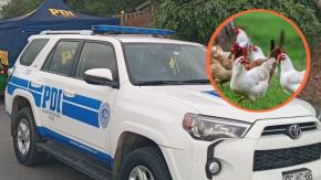 Hombre murió baleado en La Serena tras recibir disparo de escopeta luego de intentar robar gallinas