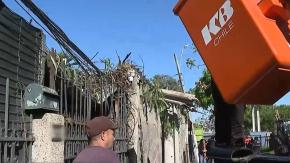 Intentan rescatar a familia atrapada tras inédito tornado en Estación Central: árbol cayó sobre su casa