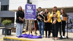 Inauguran la primera escuela canina municipal de la RM: será gratuita