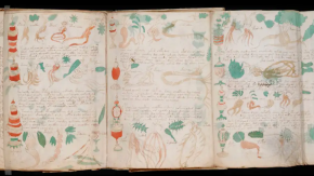 El manuscrito de Voynich lleva 600 años sin descifrarse: una pista apunta a páginas desordenadas