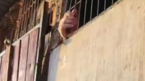 El descargo de agresor sexual beneficiado que dijo que erró al "no pedir carnet" a la menor que vulneró