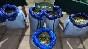 Detienen a seis bolivianos que tenían en su poder sacos con cerca de 100 kilos de hoja de coca en la RM