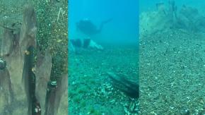 Hallazgo submarino en el Lago Llanquihue: buzos encuentran una embarcación ancestral