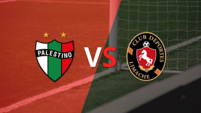 EN VIVO: Palestino y Deportes Limache están jugando: sin goles por ahora en la fecha 9