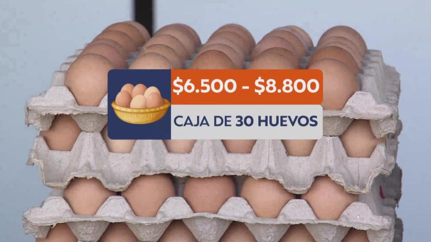 Precio de los huevos se dispara: suben casi 30% y podrían seguir al alza