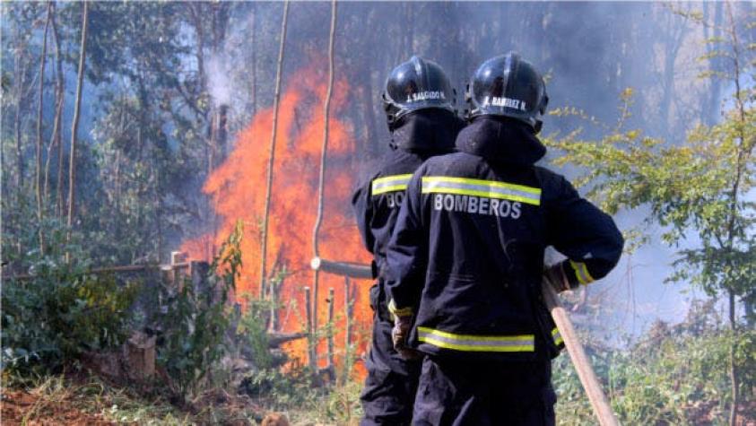 Balance de Onemi: 22 incendios forestales activos en el país | T13