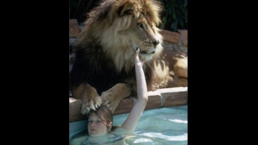 [FOTOS] La increíble vida de una adolescente Melanie Griffith junto a un león