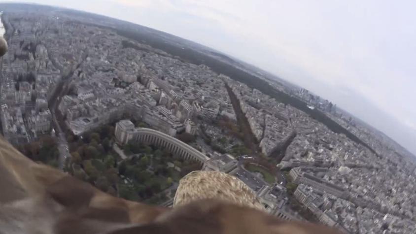 [VIDEO] Así se ve Paris desde la perspectiva de un águila