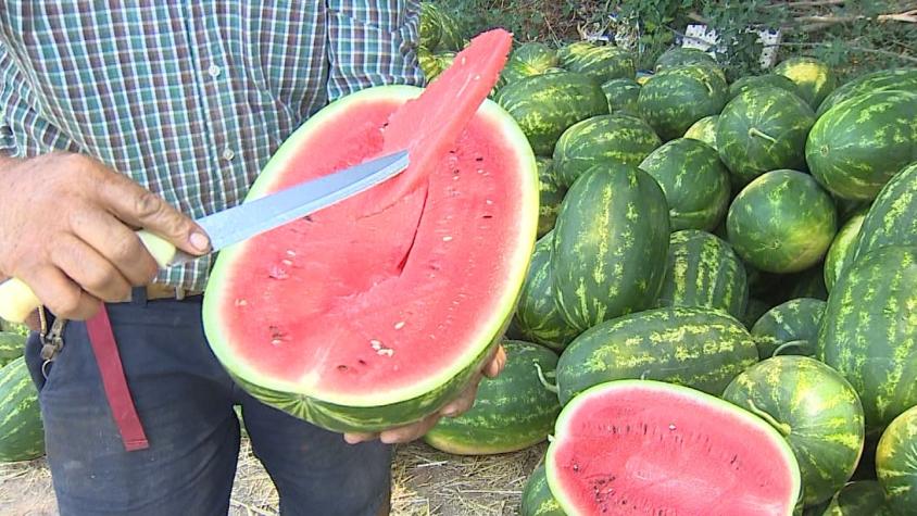 Melones y sandías estarán 30% más baratos de cara al verano