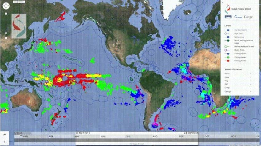 ONG crea herramienta para rastrear la actividad pesquera de 25 mil barcos