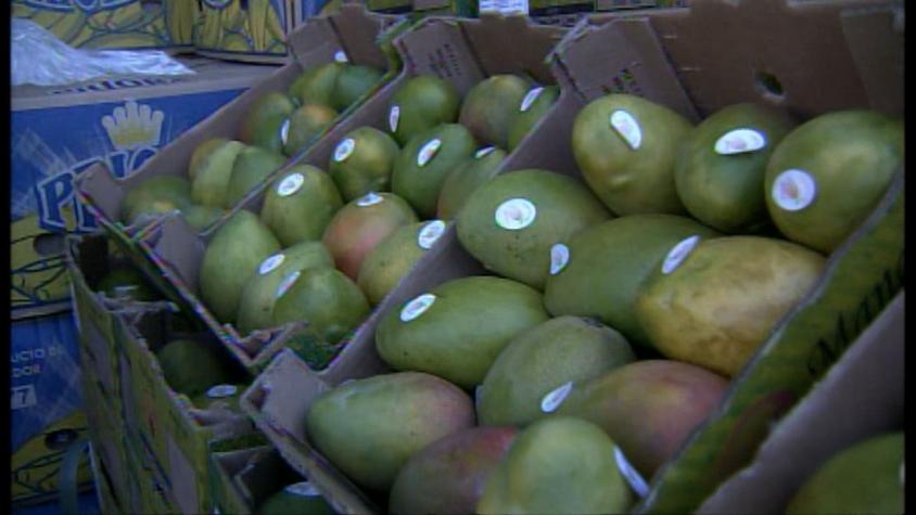 [T13 AM] Mango peruano irrumpe en el mercado nacional