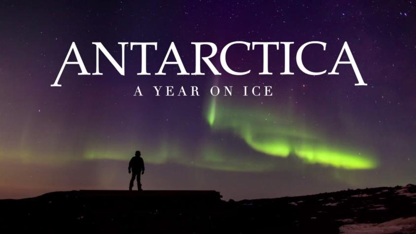 [VIDEO] La Antártica en 365 días: el documental que muestra el lugar más frío de la tierra