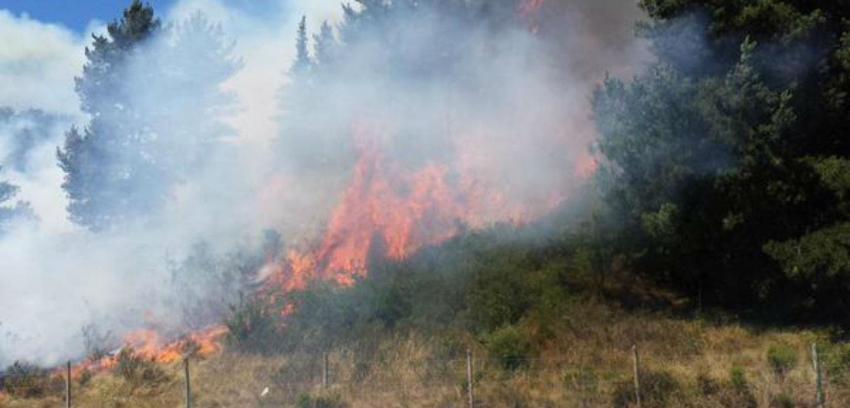 ONEMI declara Alerta Roja para Villa Alemana por incendio forestal