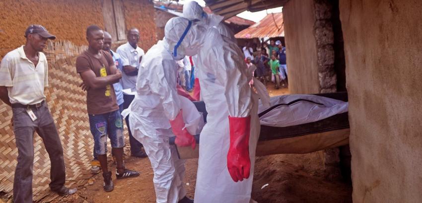 OMS advierte del impacto del ébola en lucha contra la malaria