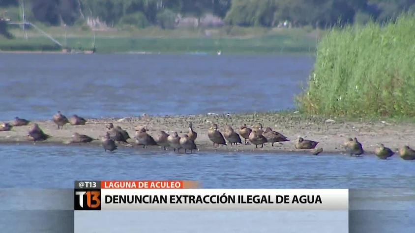 [T13] Sequía en Laguna de Aculeo: Vecinos denuncian extracción ilegal de agua