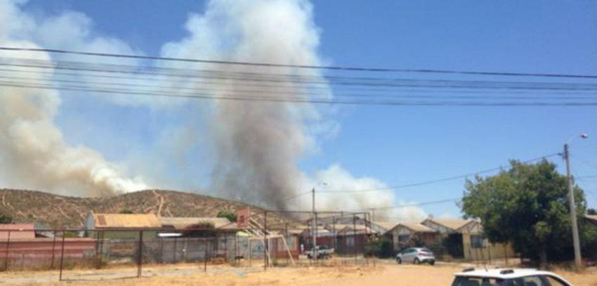 Onemi declara alerta roja en La Ligua por incendio forestal