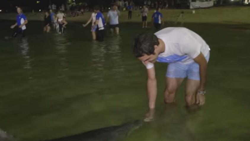 [VIDEO] Roger Federer alimentó a delfines en isla australiana