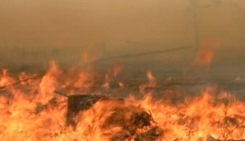 [T13] En alerta roja se encuentra Valparaíso por incendio forestal en Lago Peñuelas
