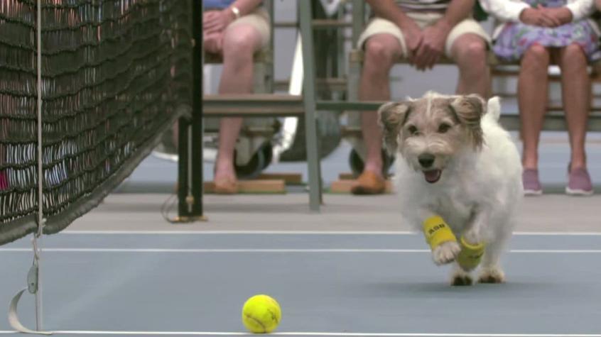 [VIDEO] Estos son los “recoge-pelotas” que conquistaron a la tenista Venus Williams