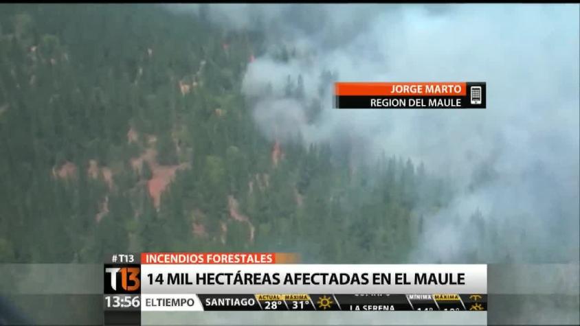 [T13 Tarde] Incendio forestales dejan 14 mil hectáreas afectadas en el Maule