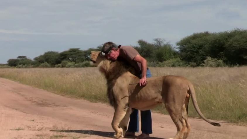 [VIDEO] La amistosa relación entre un hombre y un león
