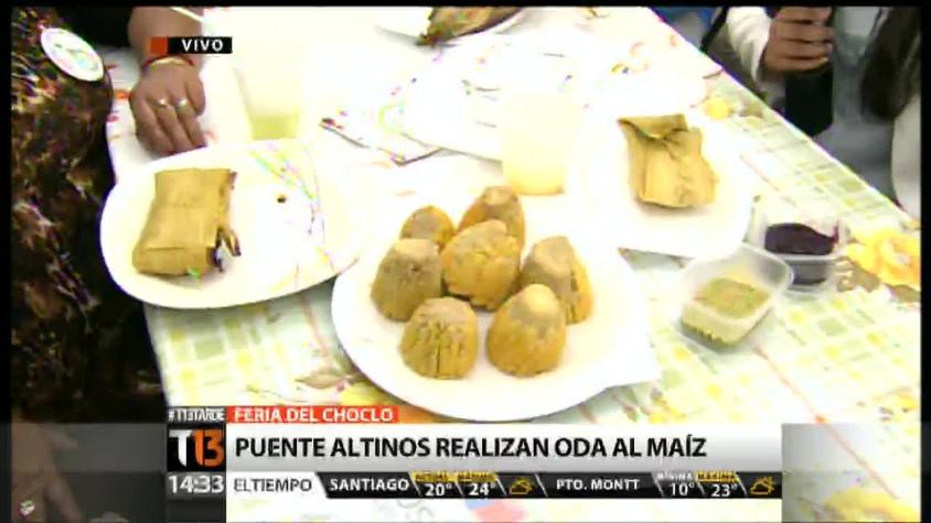 [T13 Tarde] Realizan la Feria del Choclo en Puente Alto